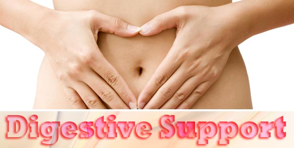 digestive support